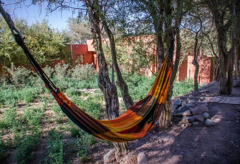 Hotel Casa Solcor Boutique Bed & Breakfast | San Pedro de Atacama | Antofagasta | Chile 11