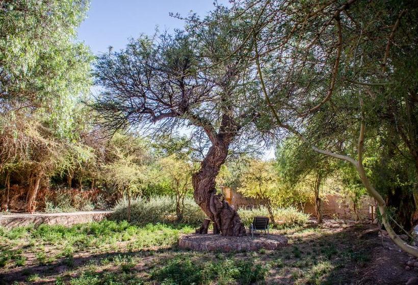 Hotel Casa Solcor Boutique Bed & Breakfast | San Pedro de Atacama | Antofagasta | Chile 12