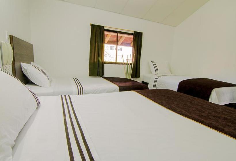 Nuevo Hotel Internacional | Medellín | Antioquia | Colombia 19