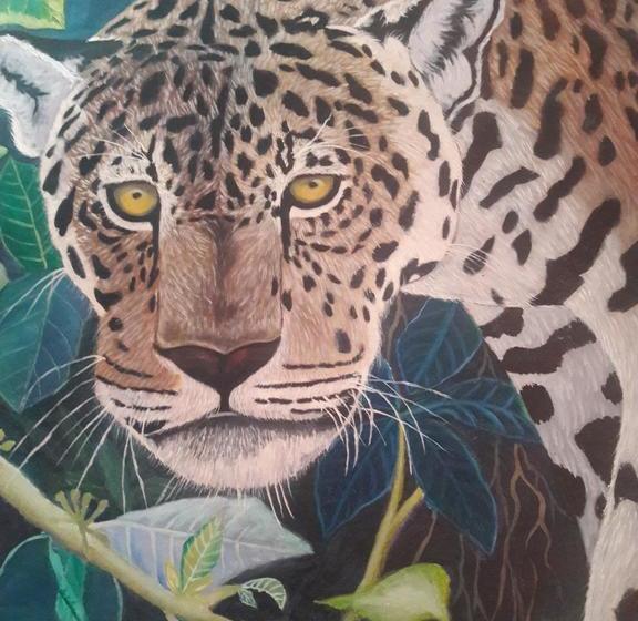 Hotel Arco Iris | Puerto Maldonado | Tambopata | Perú 7