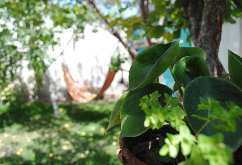 Hostel La Vitrola | La Serena | Coquimbo | Chile 11