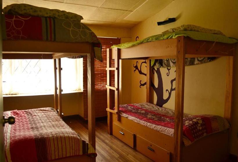 Mallki Hostel | Cuenca | Azuay | Ecuador 11