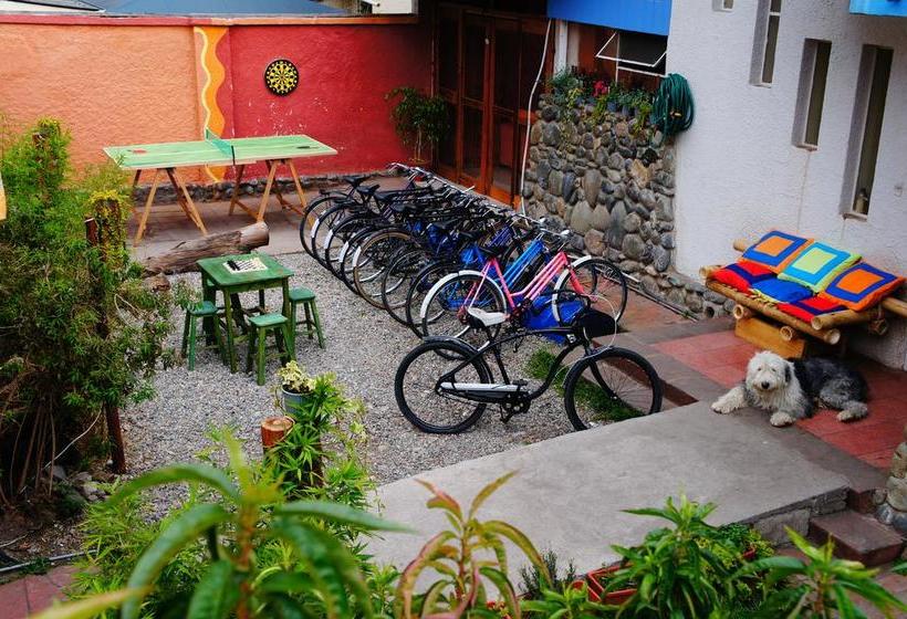 Mallki Hostel | Cuenca | Azuay | Ecuador 14