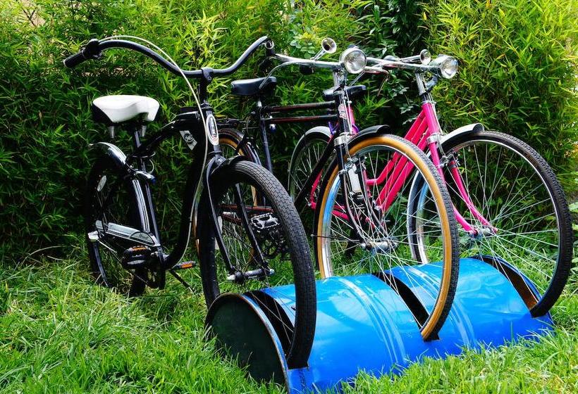 Mallki Hostel | Cuenca | Azuay | Ecuador 19