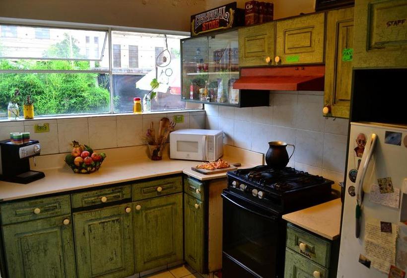 Mallki Hostel | Cuenca | Azuay | Ecuador 5