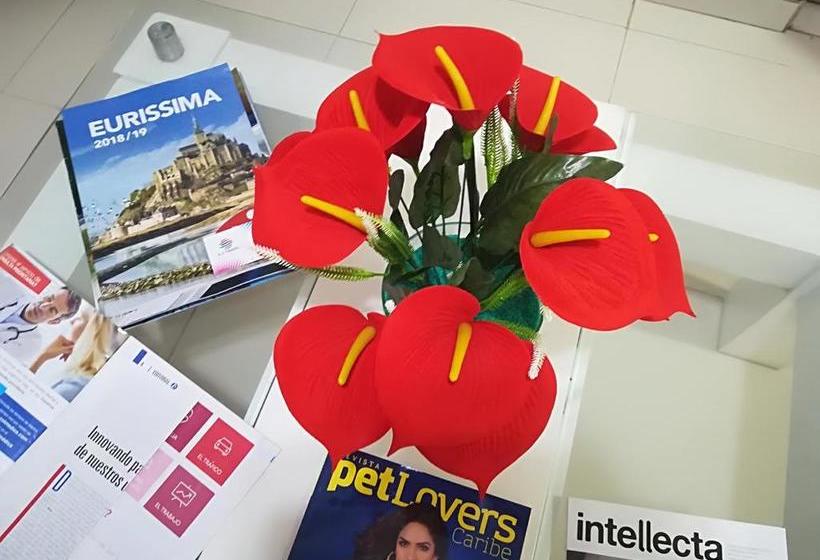 Hotel Granada Inn | Barranquilla | Atlantico | Colombia 15