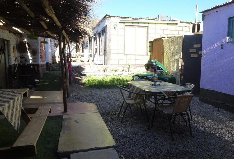 Hostel El Toconar | San Pedro de Atacama | Antofagasta | Chile 17