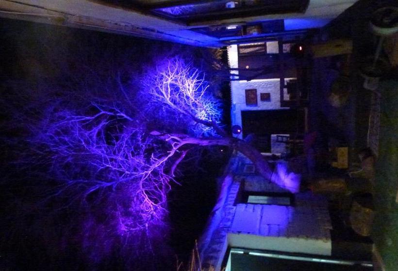 Hostel El Toconar | San Pedro de Atacama | Antofagasta | Chile 9