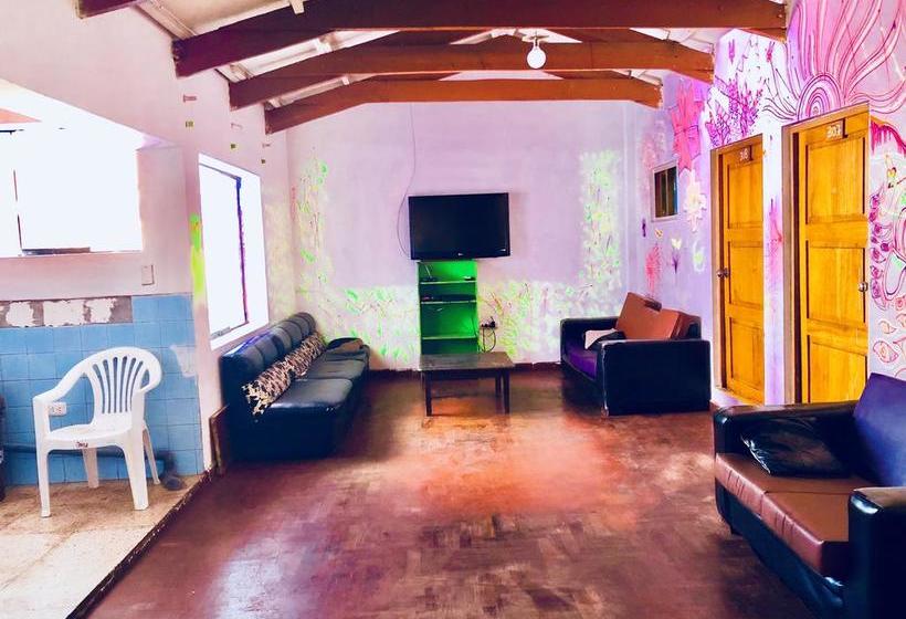 Hotel Hospedaje Casa Alegria | Cuzco | Cuzco | Perú 3