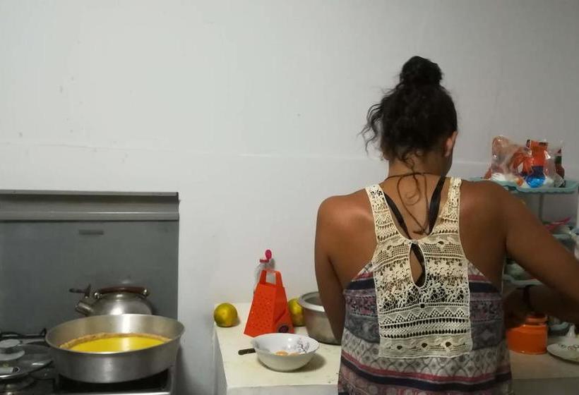 Hostel Yuntawasi Tarapoto | Tarapoto | San Martín | Perú 7