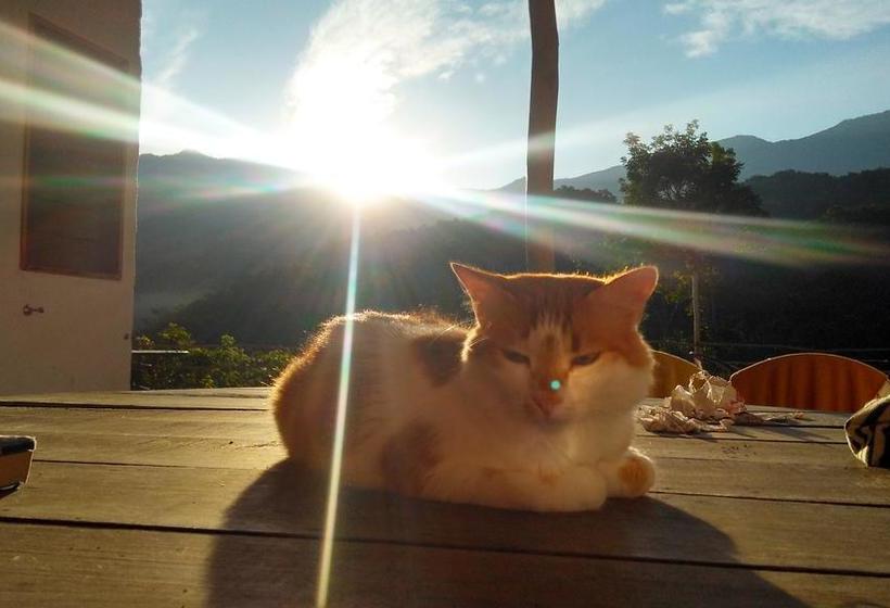 Albergue Finca Carpe Diem | Minca | Magdalena | Colombia 10