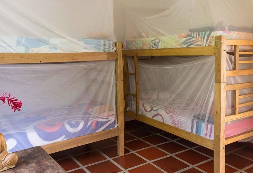 Albergue Finca Carpe Diem | Minca | Magdalena | Colombia 18