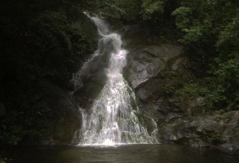 Albergue Finca Carpe Diem | Minca | Magdalena | Colombia 2
