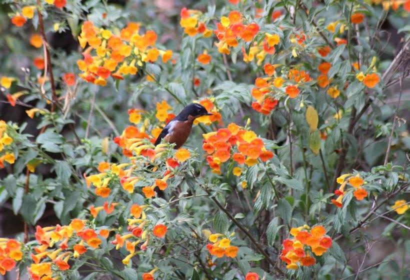Albergue Las Portadas | Ollantaytambo | Urubamba | Perú 1