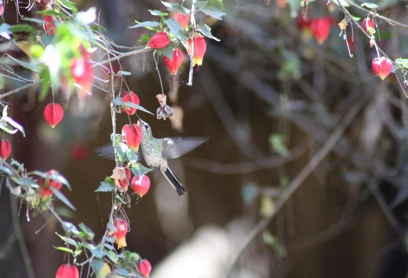 Albergue Las Portadas | Ollantaytambo | Urubamba | Perú 13