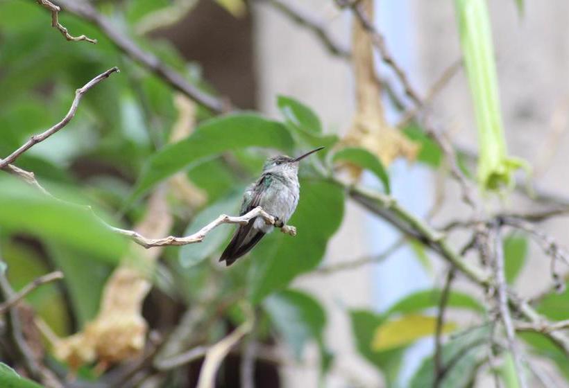 Albergue Las Portadas | Ollantaytambo | Urubamba | Perú 2