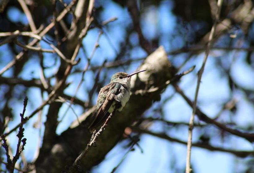 Albergue Las Portadas | Ollantaytambo | Urubamba | Perú 4