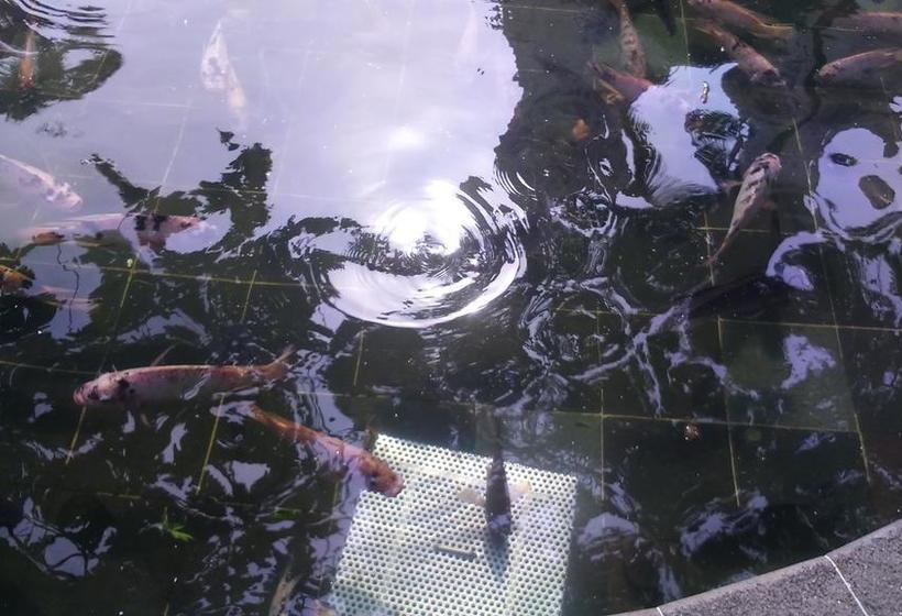 Hotel The Park | Guayaquil | Guayas | Ecuador 13