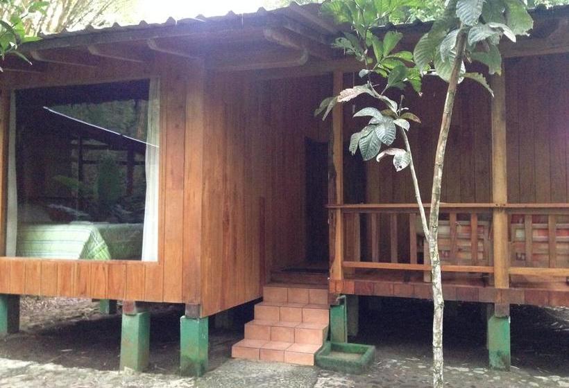 Hotel Kumbha Mela Lodge | Mindo | Pichincha | Ecuador 11