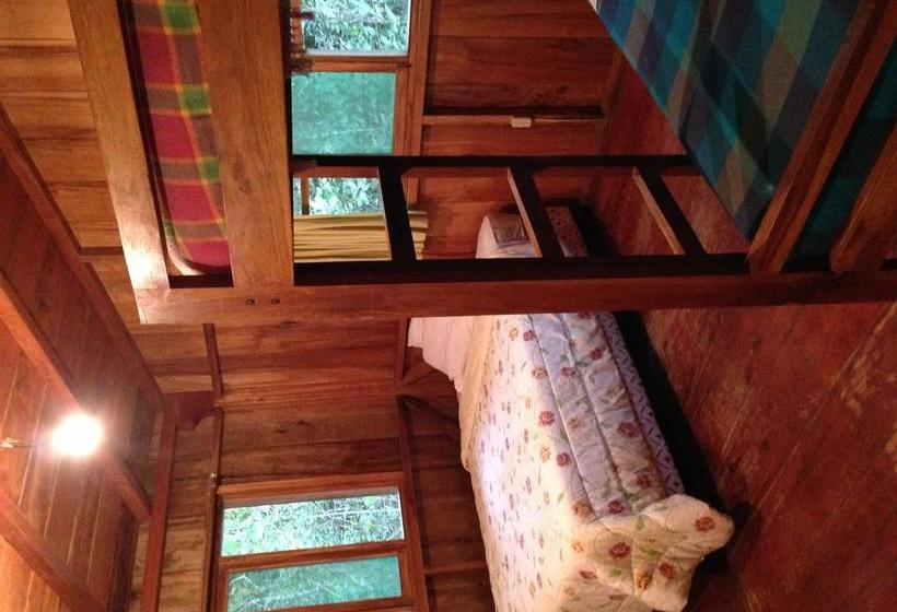 Hotel Kumbha Mela Lodge | Mindo | Pichincha | Ecuador 13