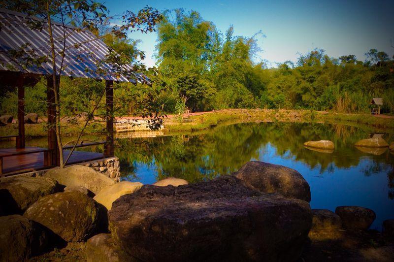 Hotel Kumbha Mela Lodge | Mindo | Pichincha | Ecuador 14