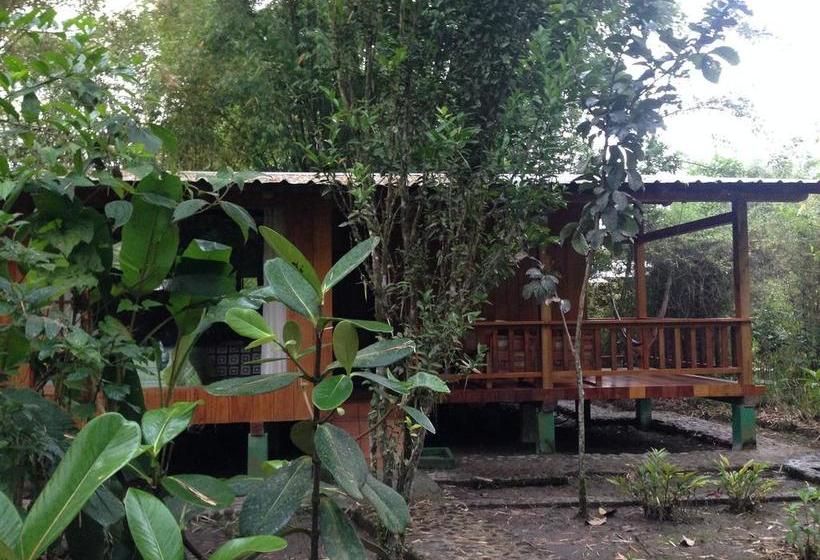 Hotel Kumbha Mela Lodge | Mindo | Pichincha | Ecuador 18