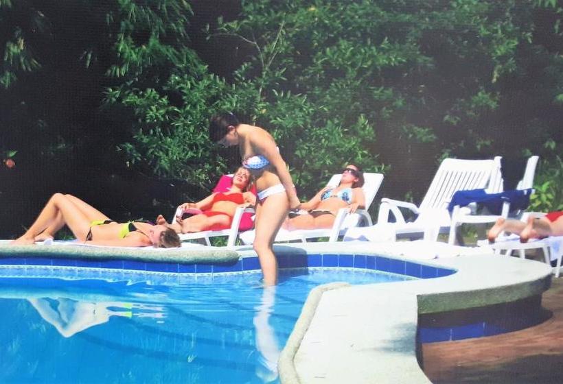 Hotel Kumbha Mela Lodge | Mindo | Pichincha | Ecuador 4