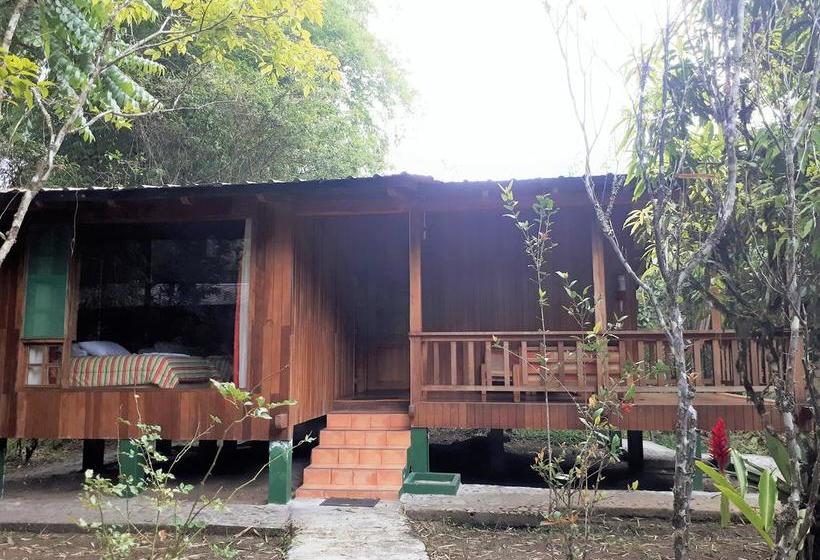 Hotel Kumbha Mela Lodge | Mindo | Pichincha | Ecuador 7