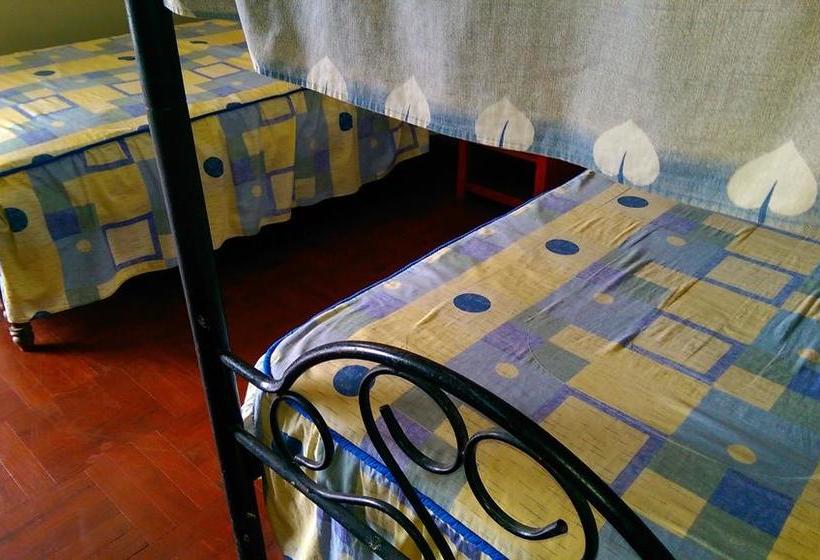 Albergue Hospedaje Los Viñedos | Tumbes | Tumbes | Perú 12