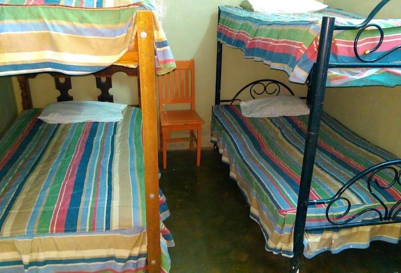 Albergue Hospedaje Los Viñedos | Tumbes | Tumbes | Perú 18