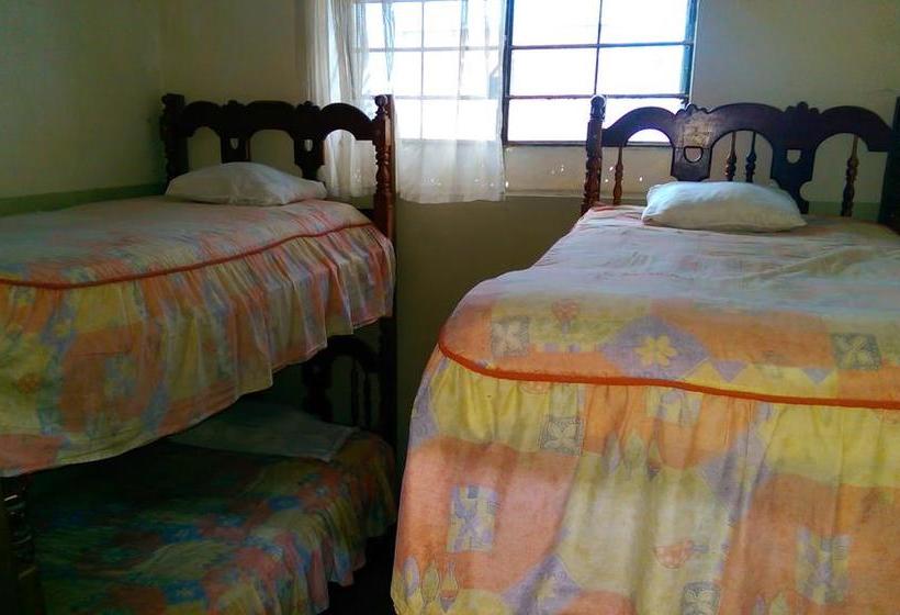 Albergue Hospedaje Los Viñedos | Tumbes | Tumbes | Perú 2