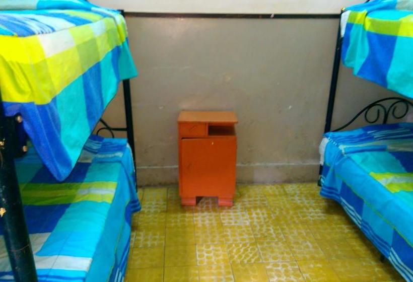 Albergue Hospedaje Los Viñedos | Tumbes | Tumbes | Perú 4