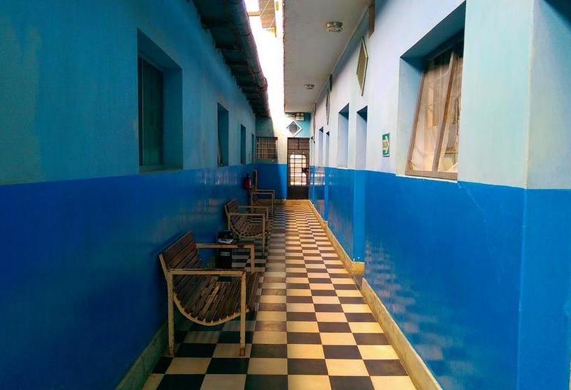 Albergue Hospedaje Los Viñedos | Tumbes | Tumbes | Perú 6