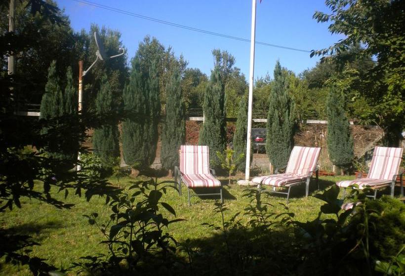 Albergue Hostal Tours | Pucon | Araucanía | Chile 20