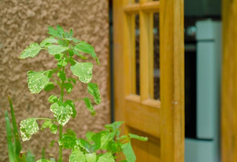 Albergue Hostal Alabalti | San Pedro de Atacama | Antofagasta | Chile 4