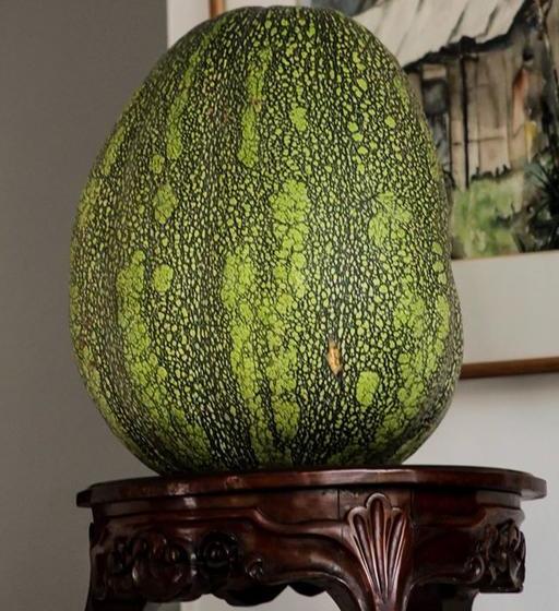 Albergue Casa Lassio Hostal | Manizales | Caldas | Colombia 13