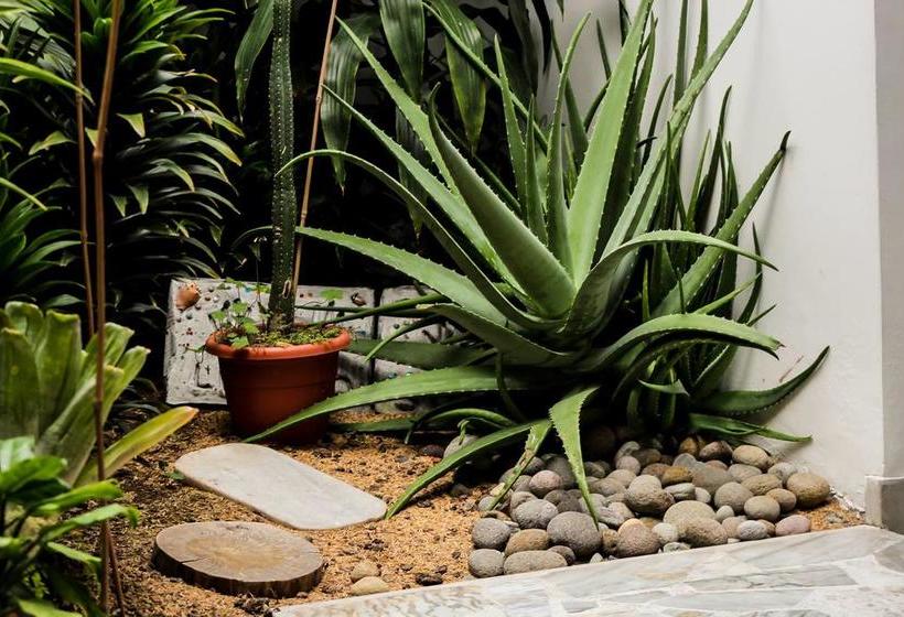 Albergue Casa Lassio Hostal | Manizales | Caldas | Colombia 14