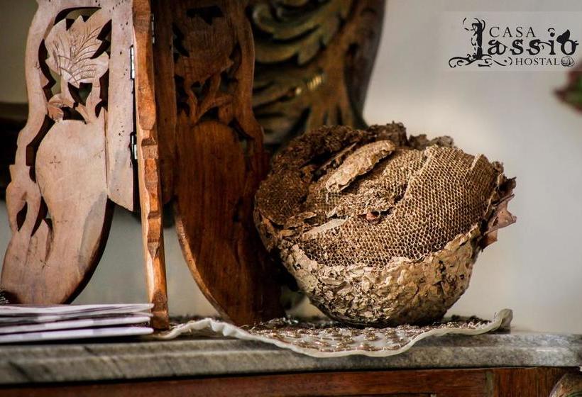 Albergue Casa Lassio Hostal | Manizales | Caldas | Colombia 17