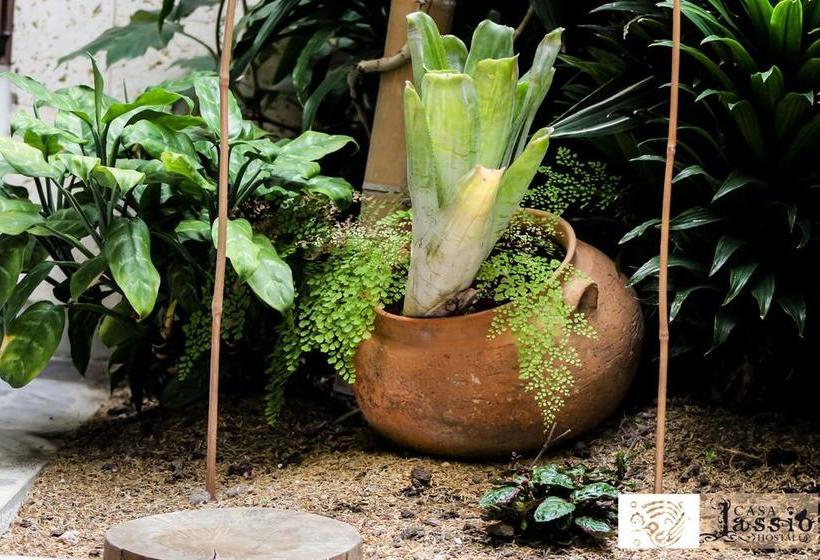 Albergue Casa Lassio Hostal | Manizales | Caldas | Colombia 19