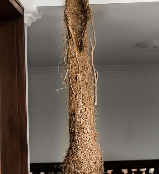 Albergue Casa Lassio Hostal | Manizales | Caldas | Colombia 20