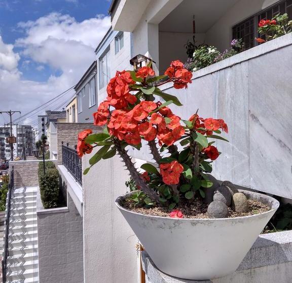 Albergue Casa Lassio Hostal | Manizales | Caldas | Colombia 7