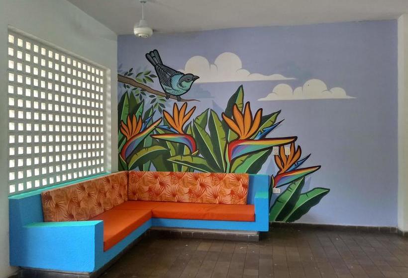 Color Hostel | Palomino | La Guajira | Colombia 1