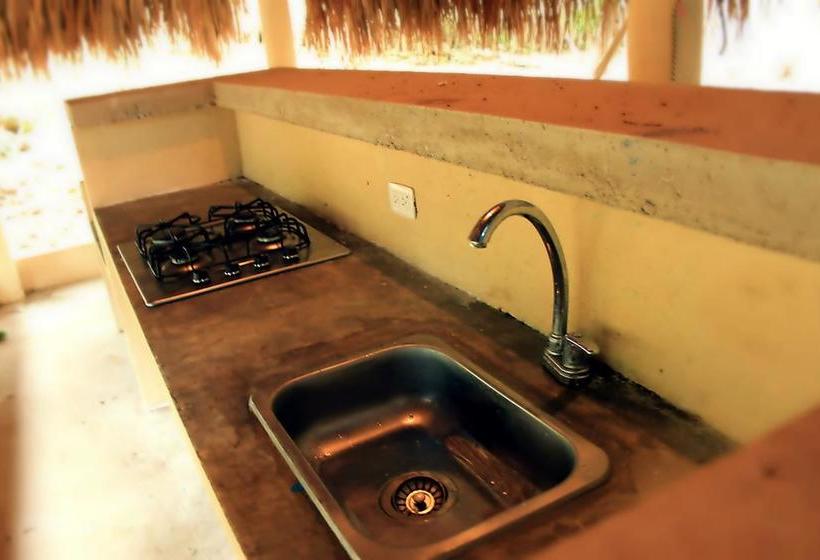 Color Hostel | Palomino | La Guajira | Colombia 11