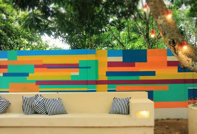 Color Hostel | Palomino | La Guajira | Colombia 18