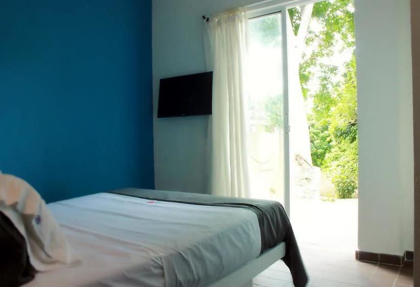 Color Hostel | Palomino | La Guajira | Colombia 19