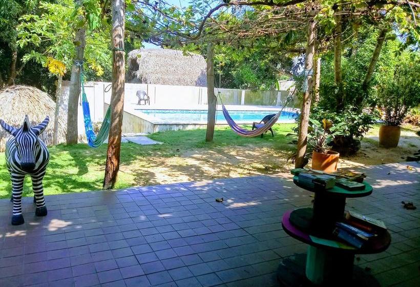 Color Hostel | Palomino | La Guajira | Colombia 2