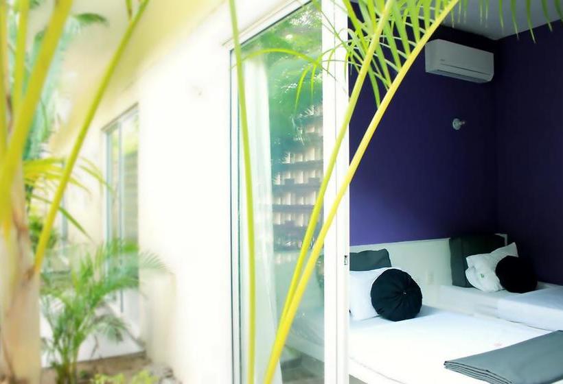 Color Hostel | Palomino | La Guajira | Colombia 20