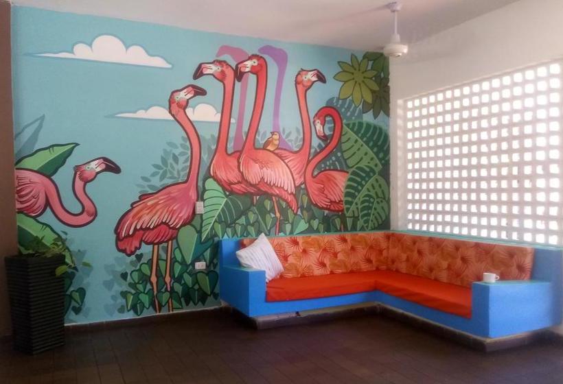 Color Hostel | Palomino | La Guajira | Colombia 4