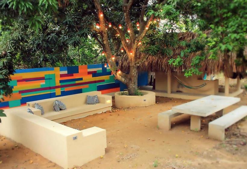 Color Hostel | Palomino | La Guajira | Colombia 5