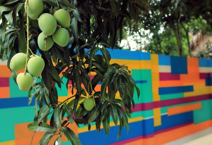 Color Hostel | Palomino | La Guajira | Colombia 6